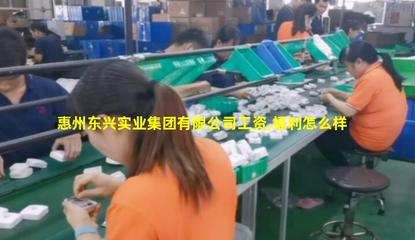 惠州东兴实业集团商务代理代办服务 高效赋能企业运营的全方位解决方案